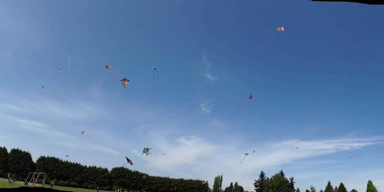 Claire D'Aoust banner