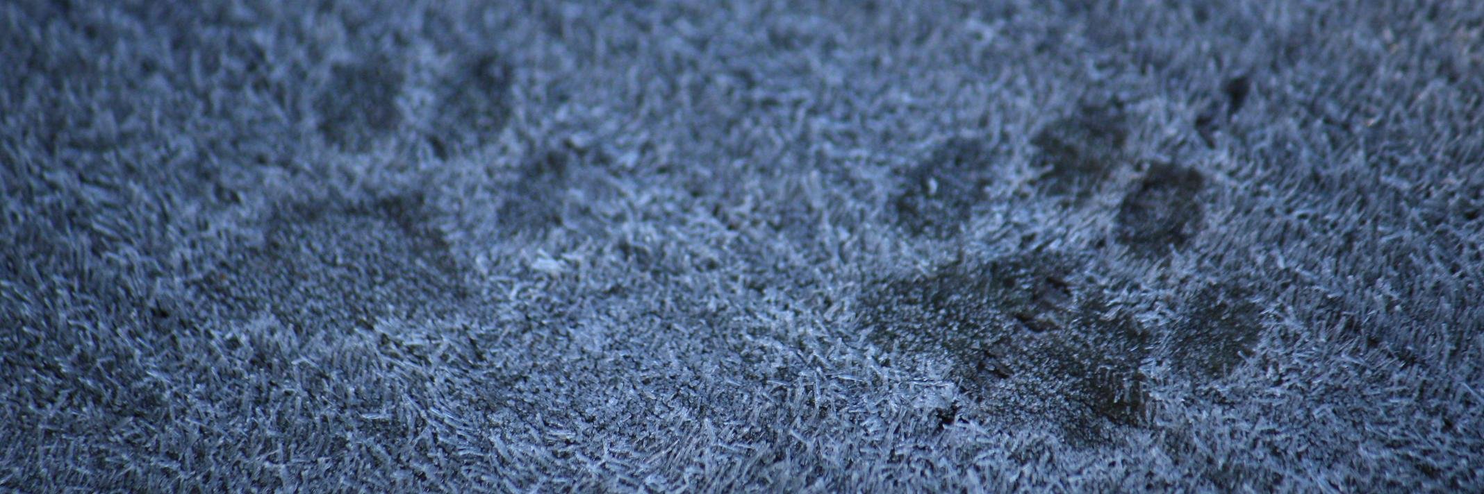 Florian @xofrank@norden.social banner