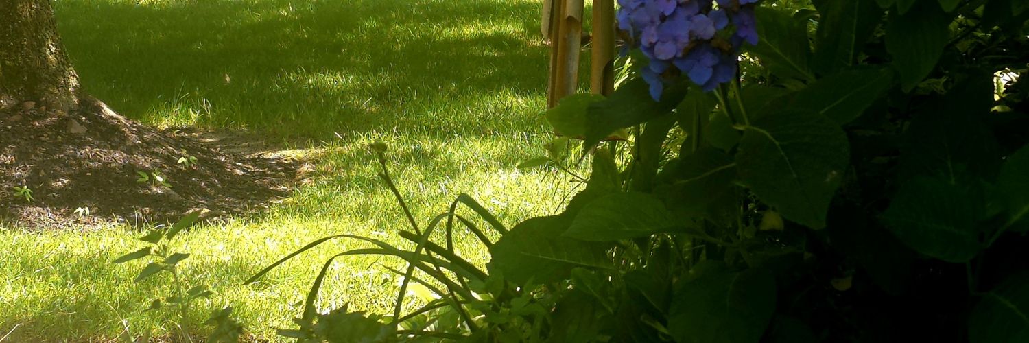 Heal the Divide banner