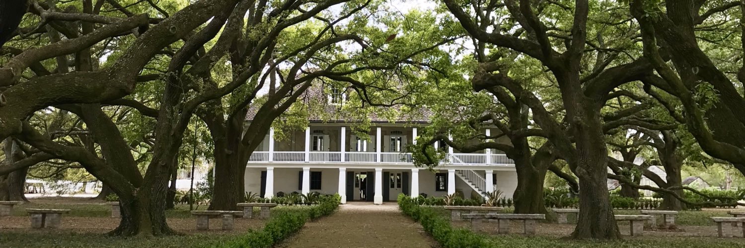 Justine Timber banner