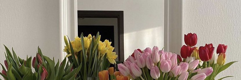 siggpaad's profile banner image
