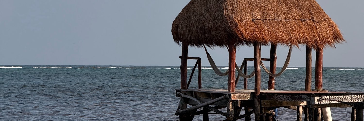 Aracely_Catalan's profile banner image