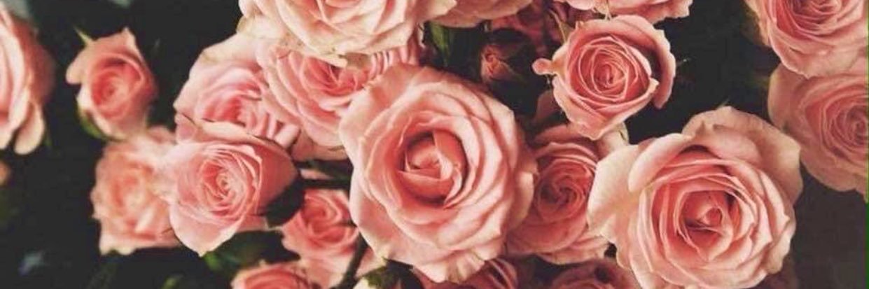 caan1112's profile banner image