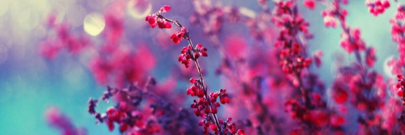 lauracavanagh3's profile banner image