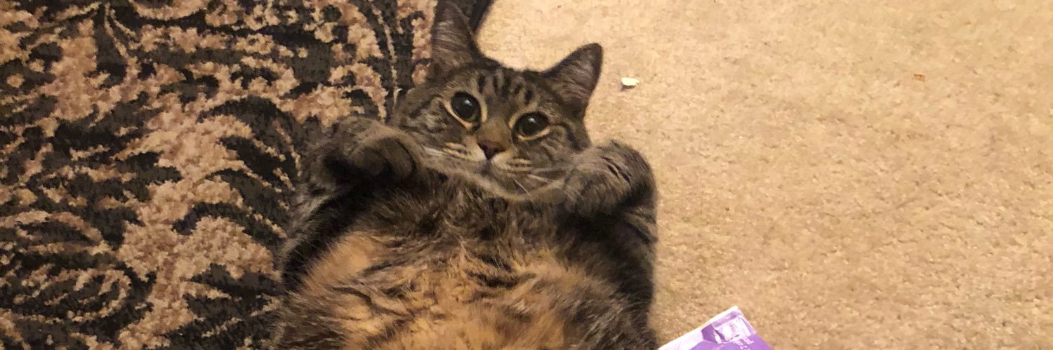 ⓗ ⓐ ⓖ ⚡ banner