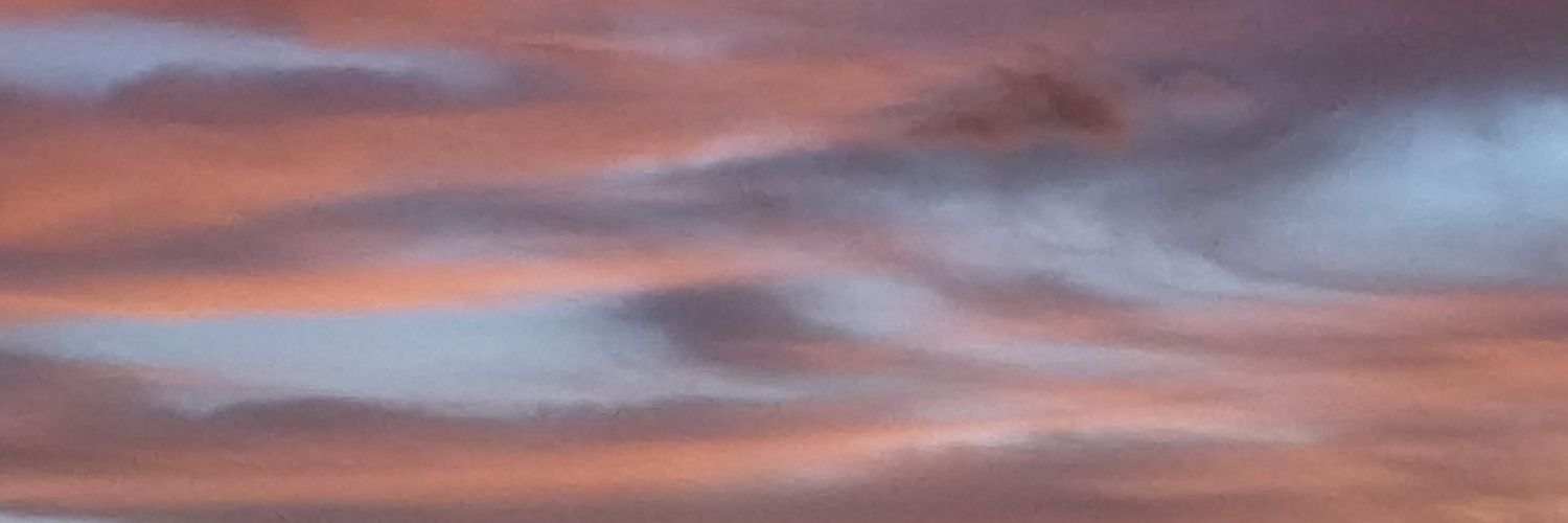 viniciuscilli's profile banner image