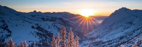 Nikki Bongaerts banner