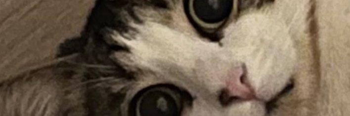 Cnbm99's profile banner image