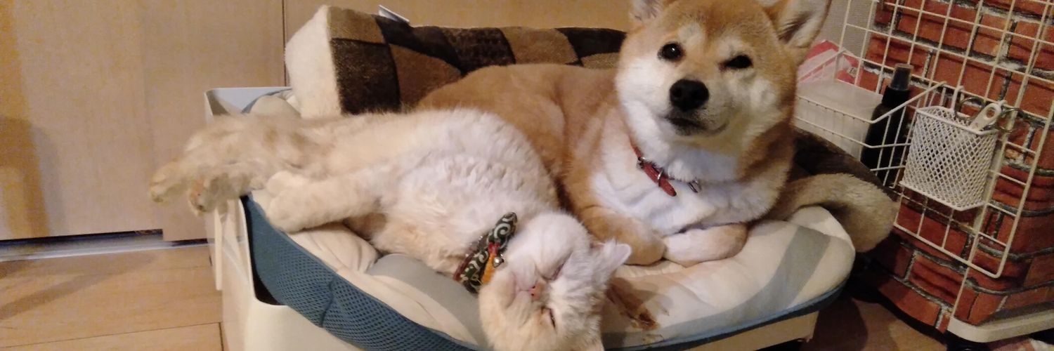 mik_i34's profile banner image