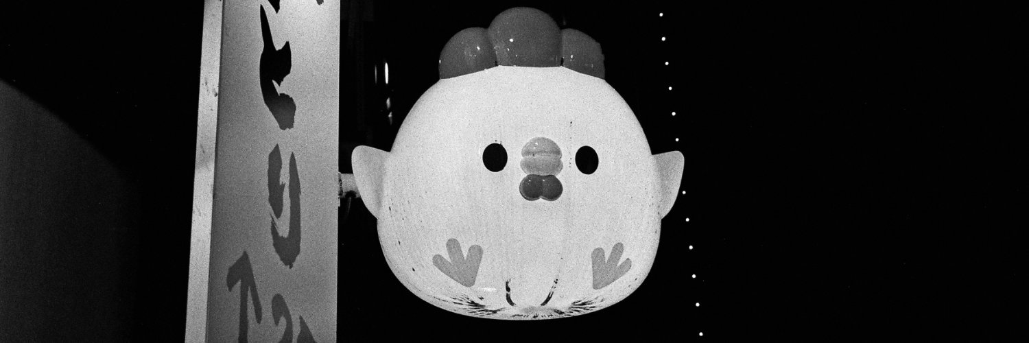 Milica Pandžić banner