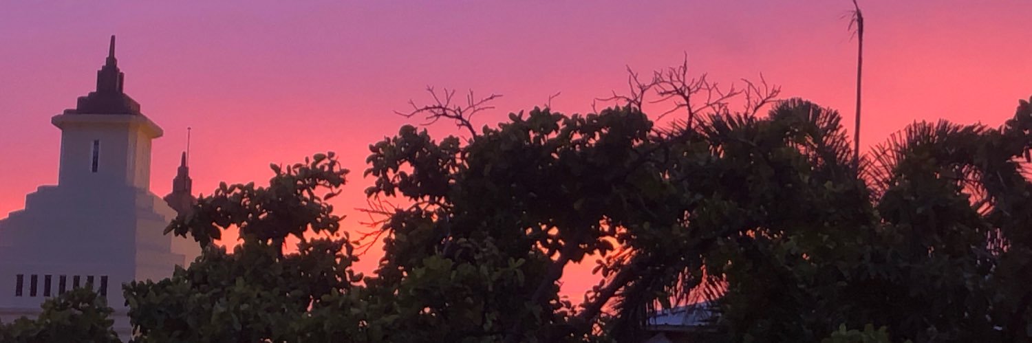 lubonill's profile banner image
