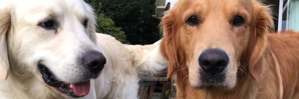 AliMicaQueen Profile Banner