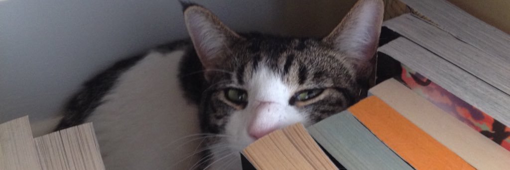 Kathryn Clark banner