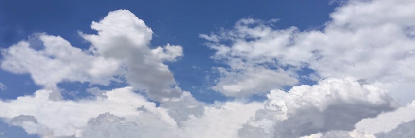 aleoninadia's profile banner image