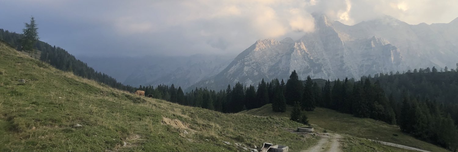 Valeriya Safronova banner