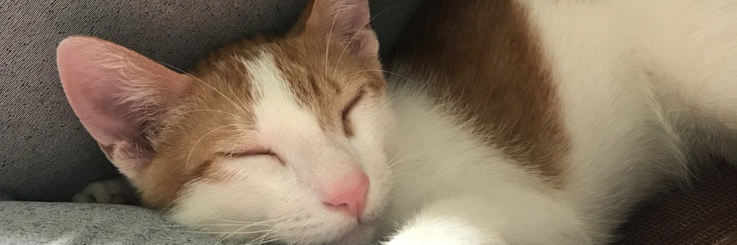 Wilmerpls's profile banner image