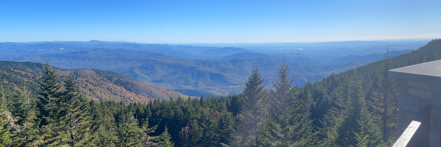 Just Only Jane banner