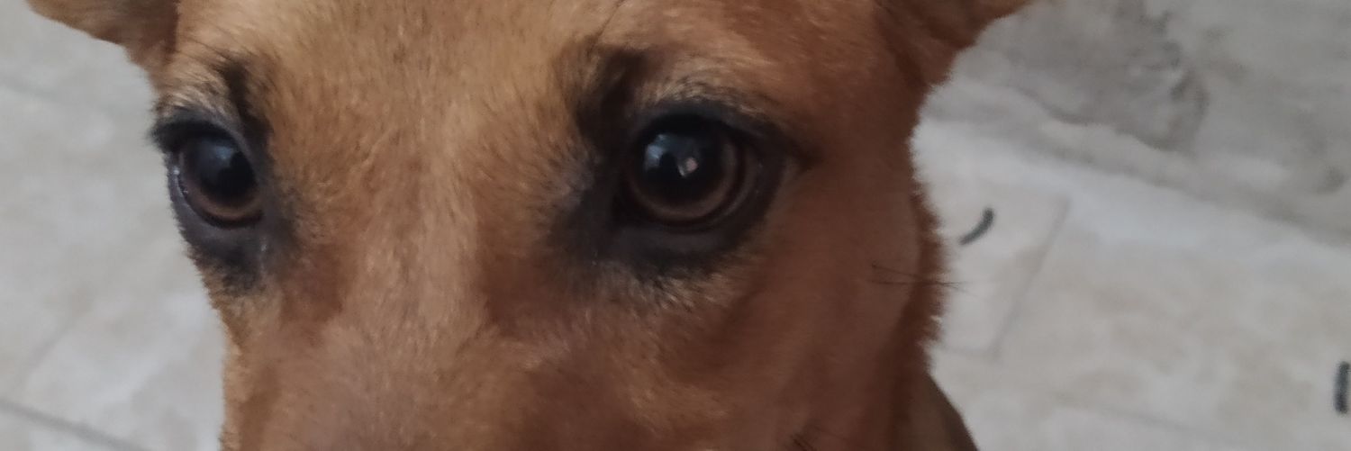 uiuiuiyopp's profile banner image