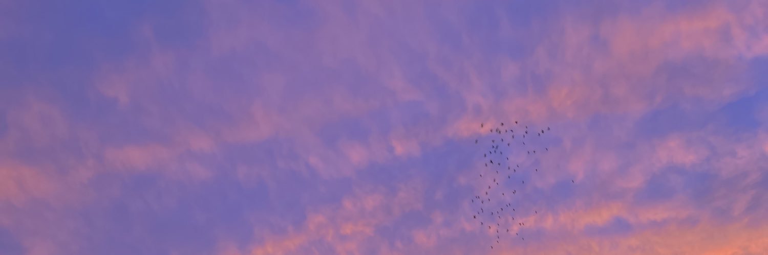 Nxhito's profile banner image