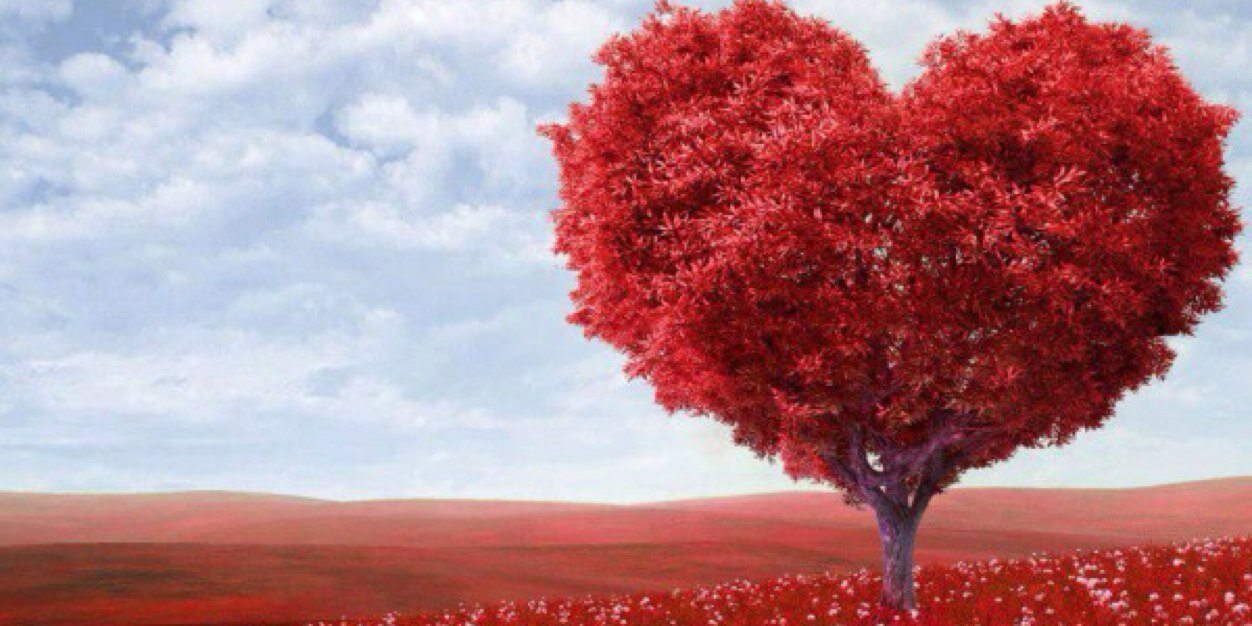 QueenBee7779311's profile banner image