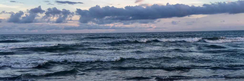 Grace Sullivan banner