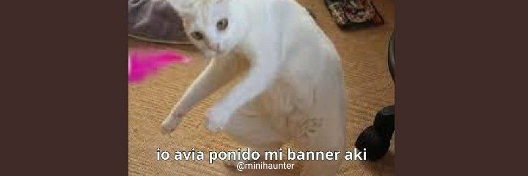 Little Haunter banner