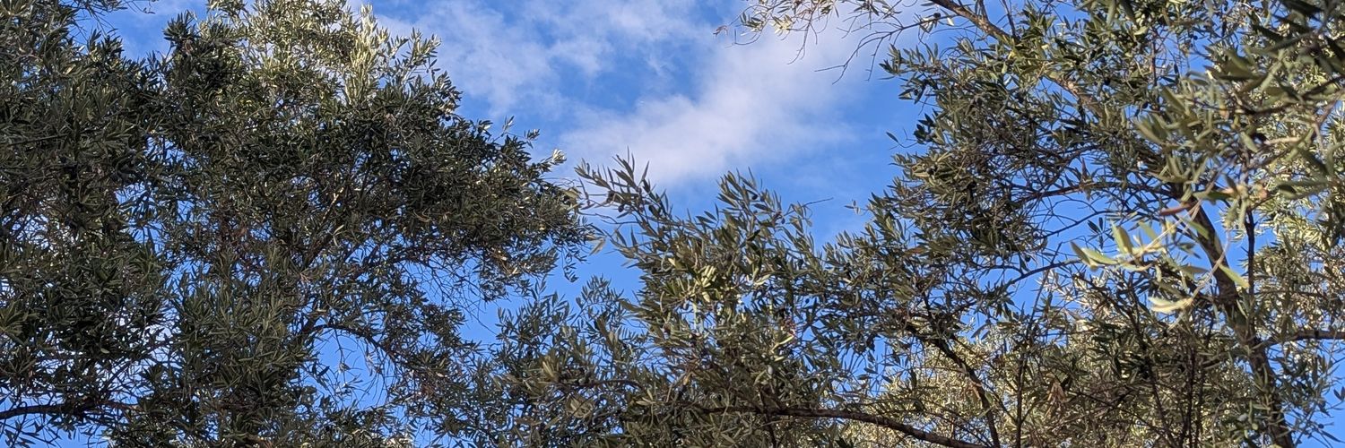 albertoagmg's profile banner image