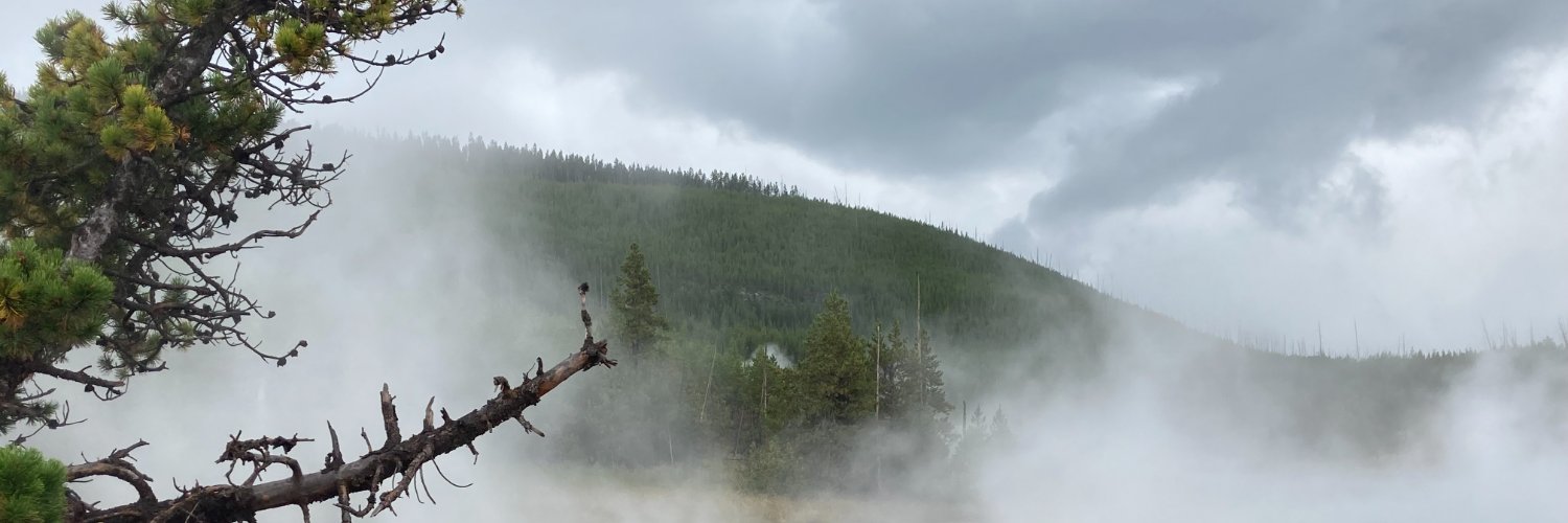 mwding's profile banner image