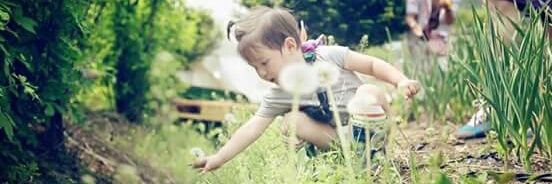 • ชานาปอยากลาออก • banner