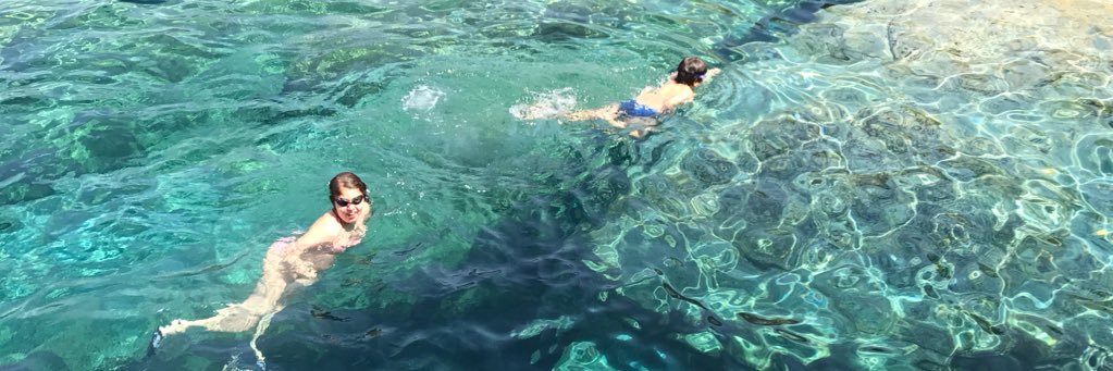 Christophe Borgel banner