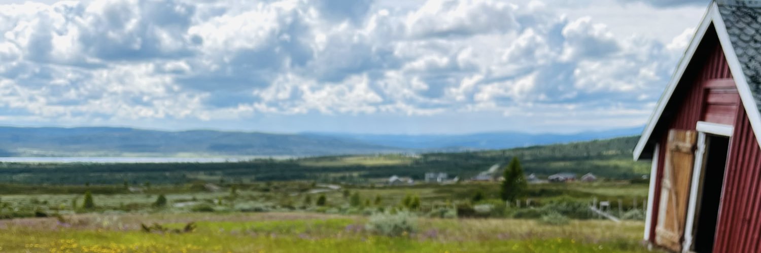 NilsenPer's profile banner image