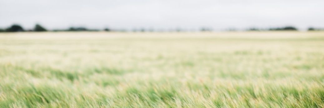 Awake_36950385's profile banner image