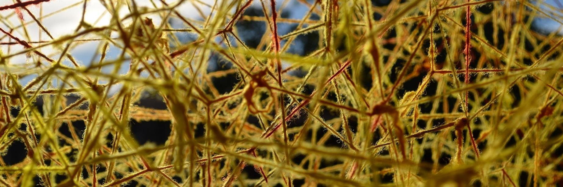 ArtSpider's profile banner image