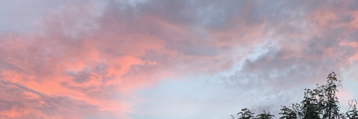 oreocheesekeik's profile banner image