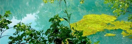 ssnbbr's profile banner image