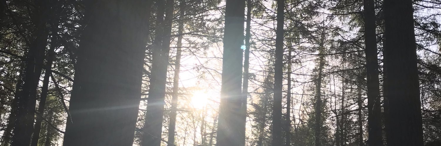 janew24's profile banner image