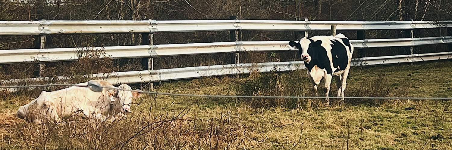 lindsdollasign's profile banner image