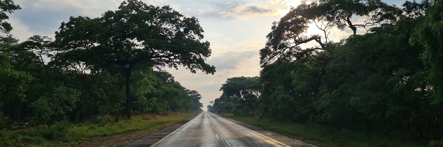 MutaleCColaco's profile banner image