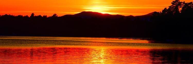 abigailahern14's profile banner image