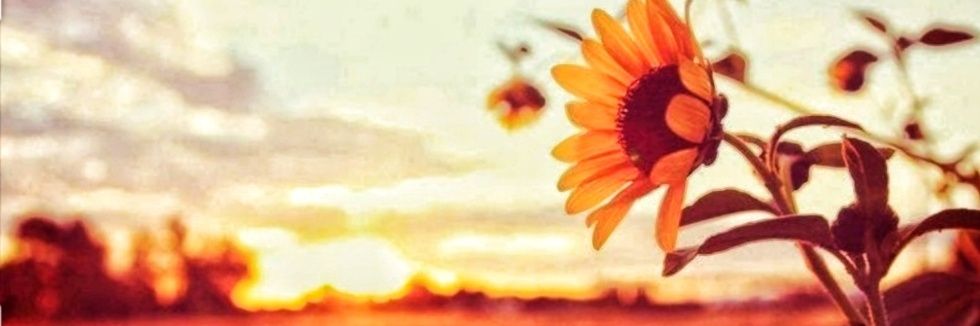 chingatienza's profile banner image