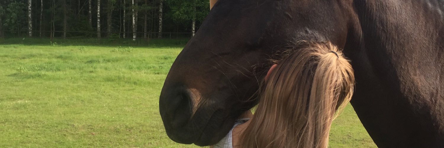 amandaskog's profile banner image