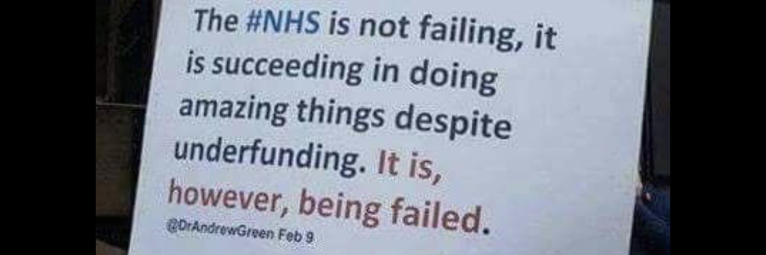 Cassandra Cussalot banner