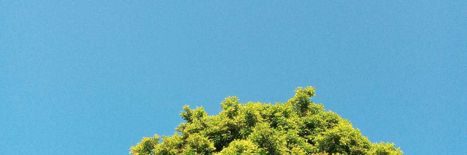 EdgardoJairo's profile banner image
