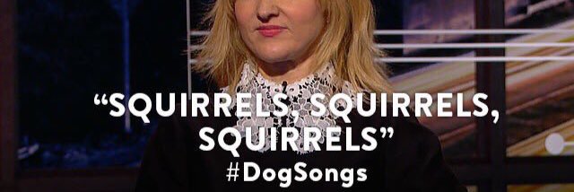 foggy_squirrel's profile banner image