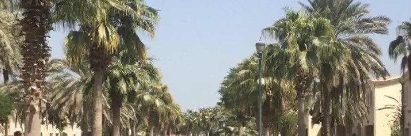 Leenanasserr's profile banner image