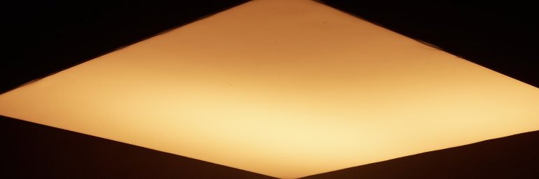 annnglav's profile banner image