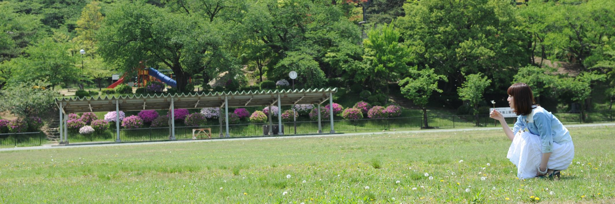 anyui's profile banner image