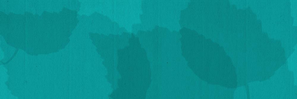 cbaum_14's profile banner image