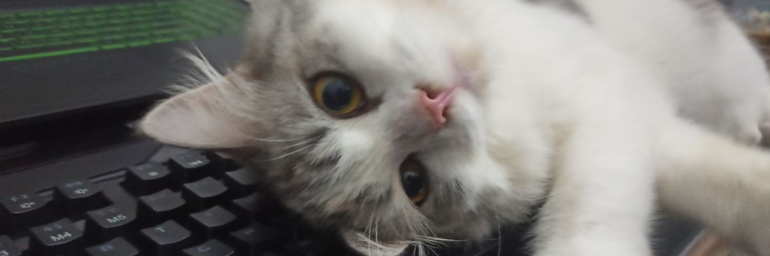 rizqipeem's profile banner image