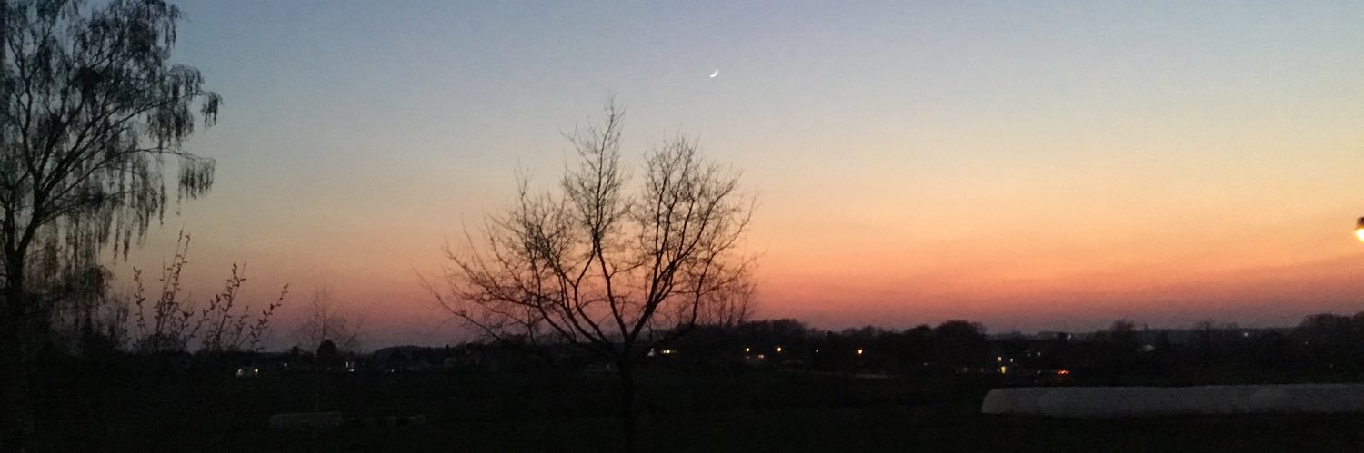 Claudia Carter banner